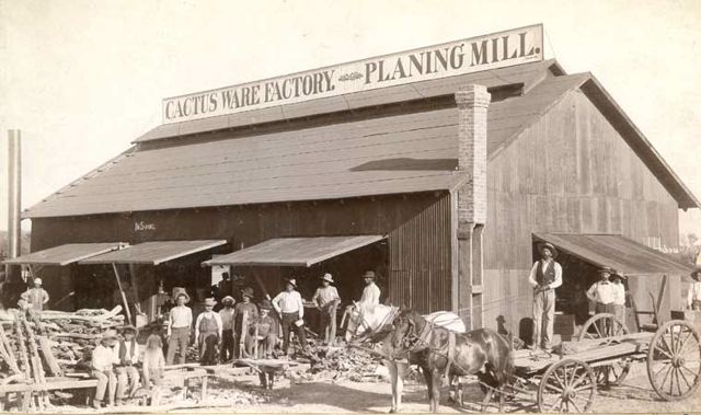 phoenixcactusfactory.jpg