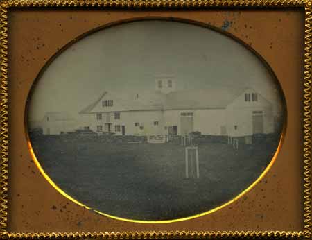 Quarter_Dag_Dairy_Farm_1