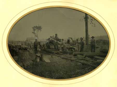 Whole_Plate_Tin_Lumb#613E65