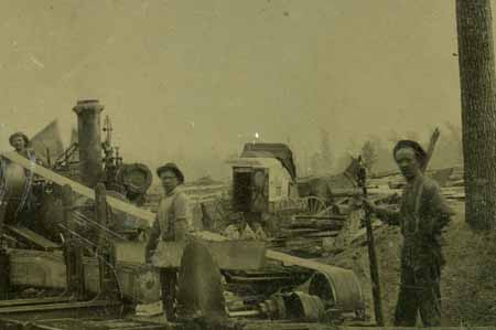 Whole_Plate_Tin_Lumb#6169D6