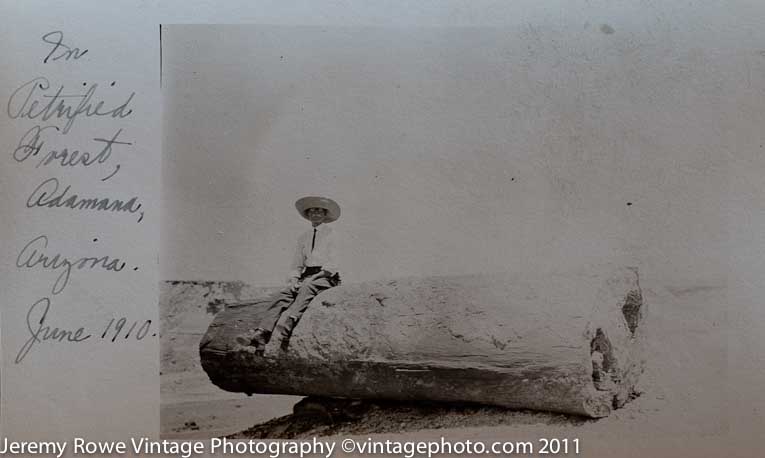 Petrified Forest ca 1910