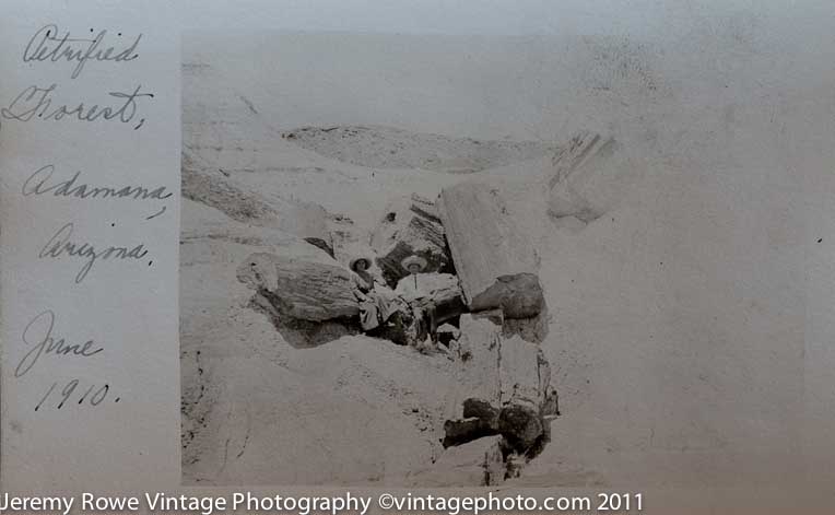 Petrified Forest ca 1910