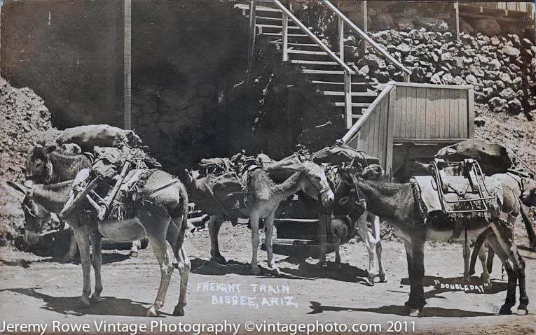 Bisbee Freight team ca 1915