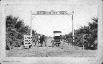 P 61 B Rancho del Higo