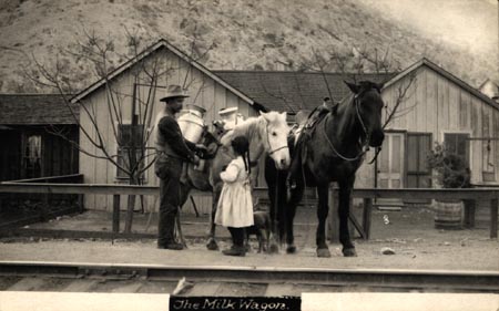 Milk delivery, Metcalf